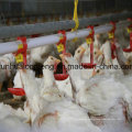 Agricultural Equipments Automatic Poultry Drinking Line/Nipple Drinkers for Chickens